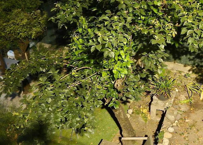 Pietranera Village Terrasse Vue Exceptionnelle Sur La * San-Martino-di-Lota